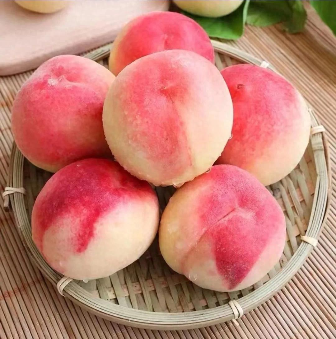 桃养人，杏伤人，李子树下抬死人，是什么意思？有道理吗