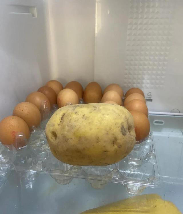 提醒大家：别往冰箱放这6样东西，越放越坏，起反作用。