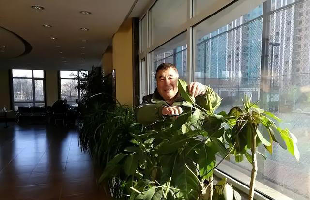 医生提醒：大脑开始萎缩时，通常会觉得有这几处不对劲，一定警惕