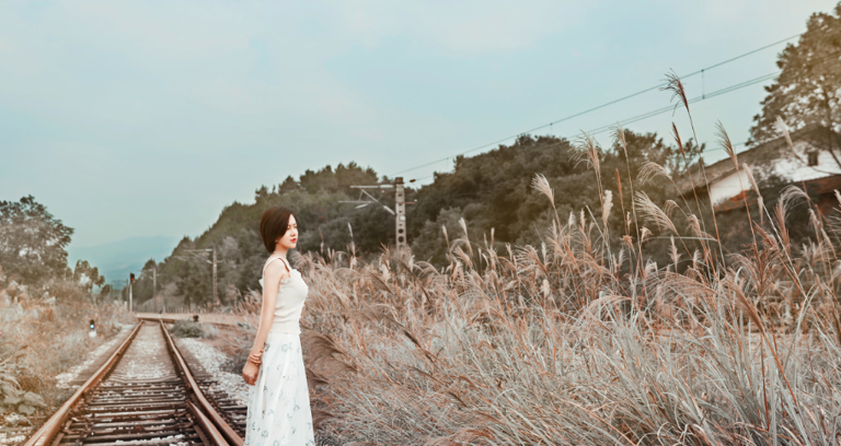 在人生的旅途中，我们会遇到许多人，他们如同过客一般，在我们的世界里匆匆停留，又悄然离去。  有时，我们会惊讶地发现，那个曾经无话不谈、频繁联系的朋友或伴侣，不知何时起，已渐渐淡出了我们的生活圈。  面对这种突如其来的“失联”，我们或许会感到