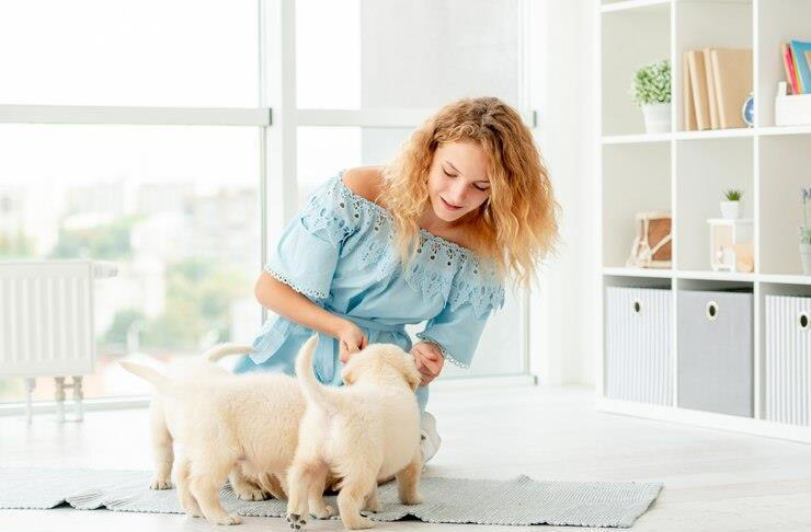 宠物的陪伴能治愈一个人吗