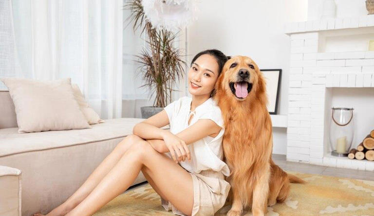 宠物的陪伴能治愈一个人吗