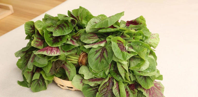 50岁之后，要注意预防老年痴呆，这3种养脑食物可以多吃