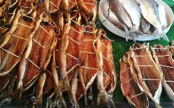 神秘而壮丽的自然奇观——贝加尔湖