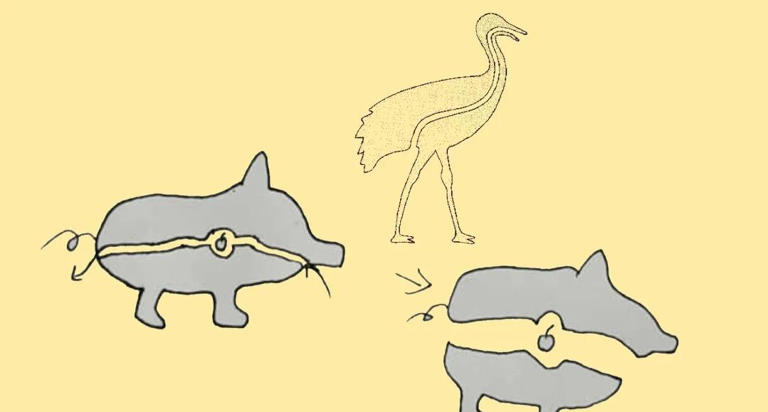 深度科普：四维空间，和三维空间到底有什么区别？