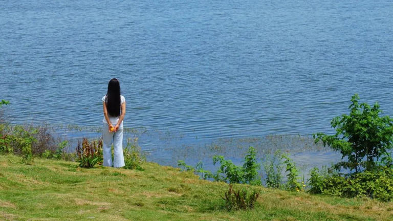 清空，清零，清净