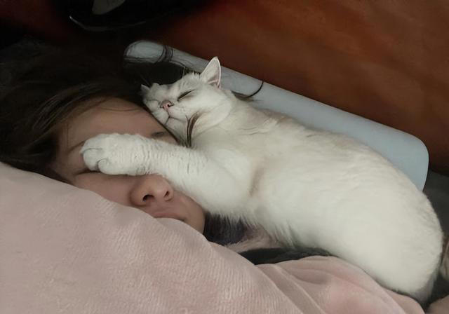 你的猫是否“信任”你？从这6点表现就可以看出来