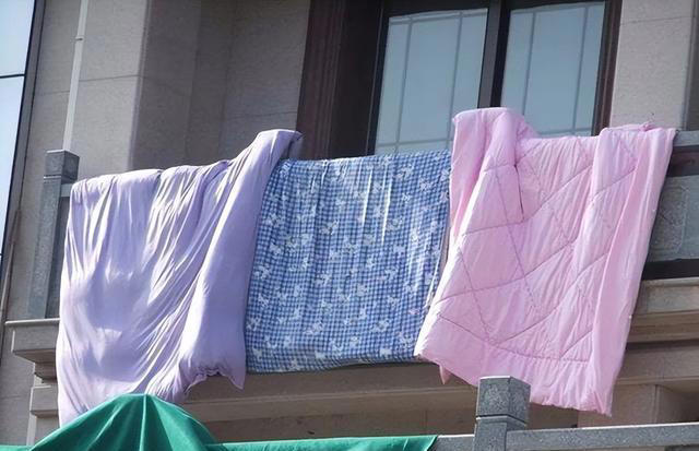 你的猫是否“信任”你？从这6点表现就可以看出来