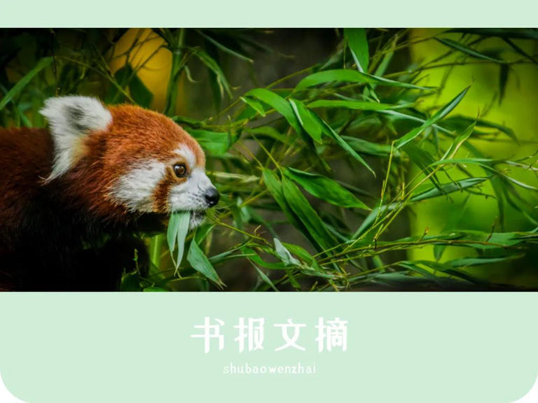 知乎上曾有一个提问：“为什么总感觉自己的人生很不顺？” 底下有一个高赞回答：“有时候，人生不顺只是你的主观想法而已。” 做对以下这三件事，才能让我们的人生一顺则百顺。  01 换一个角度看问题，情绪就顺了 《自洽》一书里记录了一个故事。 作