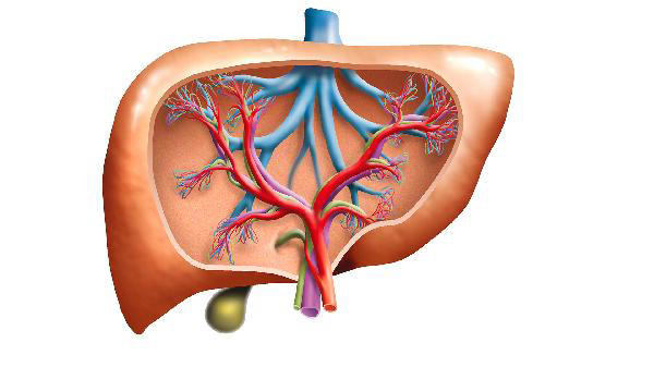  肝脏开始受损，不是看肚子胀不胀！医生：若有4个症状，立即检查 