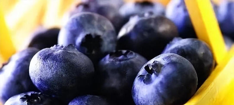 蓝莓被称为“超级水果”，但奉劝这4类人，不要随随便便吃蓝莓