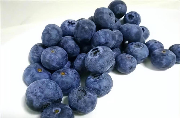 蓝莓被称为“超级水果”，但奉劝这4类人，不要随随便便吃蓝莓