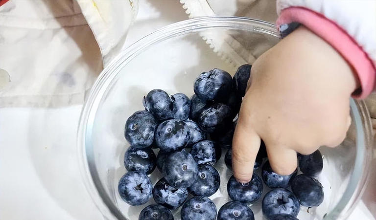 蓝莓被称为“超级水果”，但奉劝这4类人，不要随随便便吃蓝莓