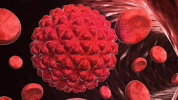 预防心脑血管疾病吃什么好？医生：除了饮食，遵循这6点很重要