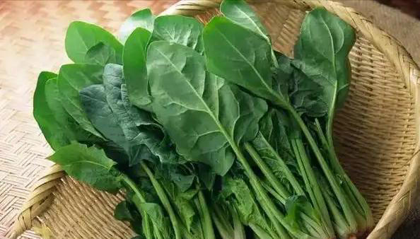 “血压”最怕的4种蔬菜，建议：中老年人要多吃，稳定血压少生病