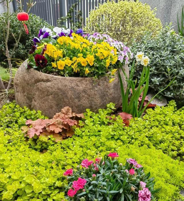 如果家里有院子，一定要种上这几种花，实在太美了！