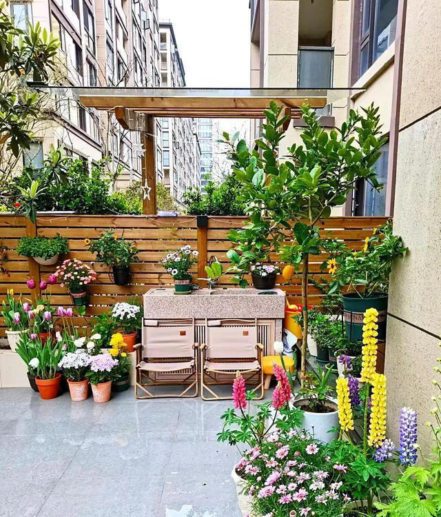 如果家里有院子，一定要种上这几种花，实在太美了！