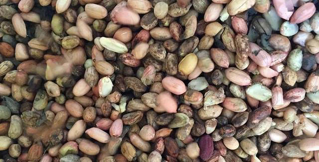 全球近一半肝癌在中国，再次提醒：家中的3种食物，尽早撤下餐桌