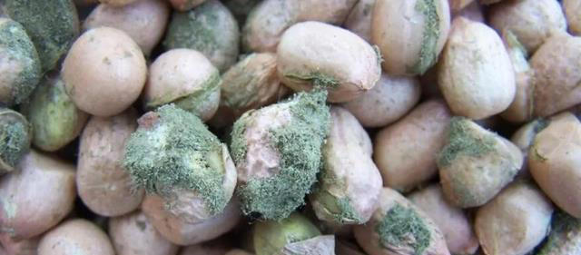 全球近一半肝癌在中国，再次提醒：家中的3种食物，尽早撤下餐桌