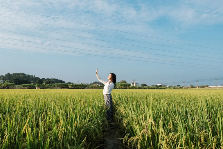 异性之间的扎心真相：男人如果遇到的女人都很正经，只能说明他很穷；女人如果遇到的男人都很正经，就说明她很丑；这条定律几乎全世界通用