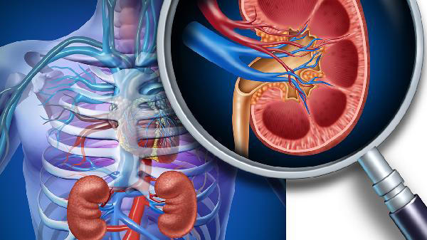 肾衰竭是“拖”出来的？提醒：身体若经常有这4个异常，尽早就医