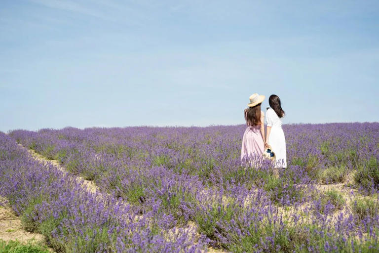 和守规矩的人在一起，就是最好的养生