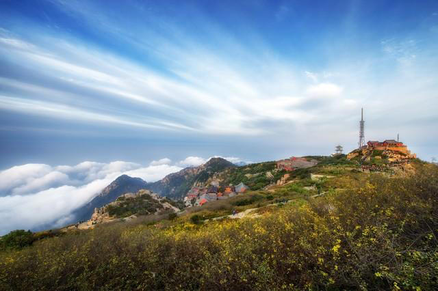 人到晚年，简单的生活反而能带来最深的满足感