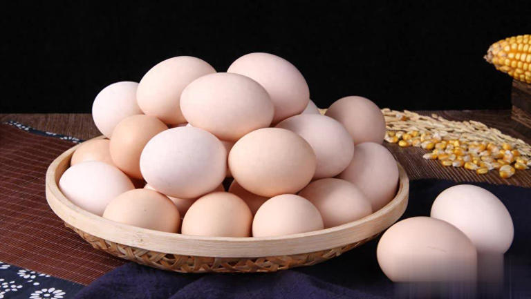 “饲料蛋”和“土鸡蛋”区别大揭秘，看完涨知识！ 