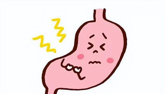 建议中老年人：别心疼钱！这6种“高蛋白菜”要多吃，越吃越年轻