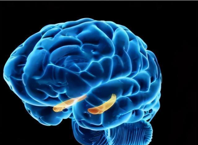 医生再三提醒：岁数大了，宁可吃腌菜熏肉，都不要多吃这4种蔬菜