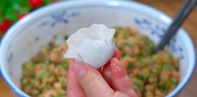 茄子肉馅饺子火了，10分钟学会绝技，吃一次就忘不了