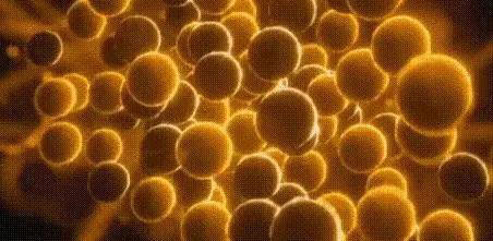 电子全是同一个？科学家大胆猜想，宇宙秘密藏在时空穿梭里