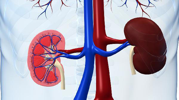 从肾病到肾衰竭，可能会出现4种情况，早知道早预防