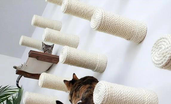 猫咪无聊就干这7件事，你家猫中了几招？