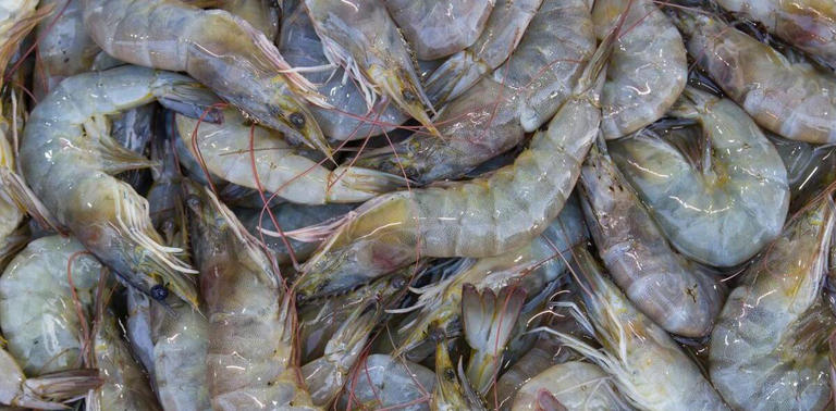 水煮大虾，是开水下锅还是冷水下锅？看后才知道，原来一直做错了