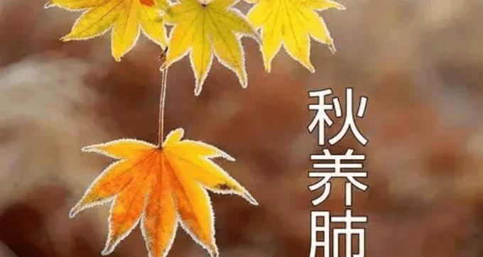 “夏养心，秋养肺”！立秋后，多吃这4样食材，润肺防秋燥少生病