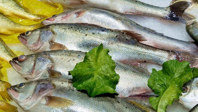 最有营养的鱼，不是带鱼和鲫鱼！常吃这4种鱼，健脑益智，脾胃好