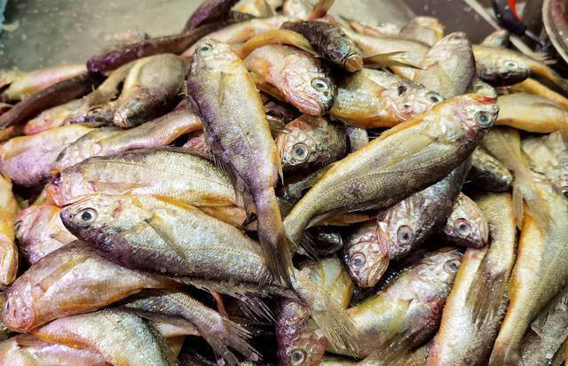 最有营养的鱼，不是带鱼和鲫鱼！常吃这4种鱼，健脑益智，脾胃好