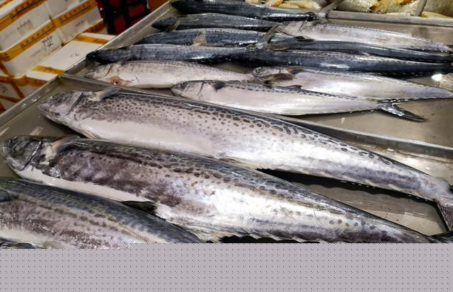 最有营养的鱼，不是带鱼和鲫鱼！常吃这4种鱼，健脑益智，脾胃好