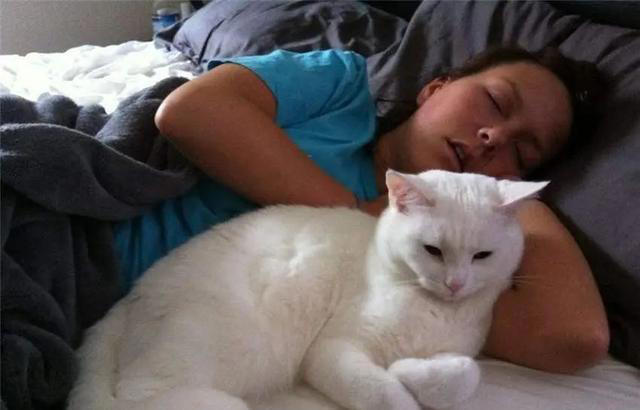 若猫咪有这6种行为，说明它在“保护”你，很多人都在误解它！