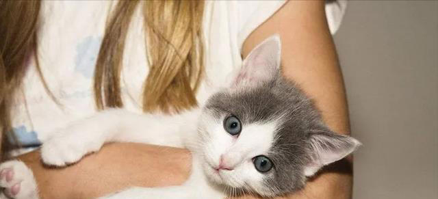 猫是不是要从小养才会跟主人有感情呢？