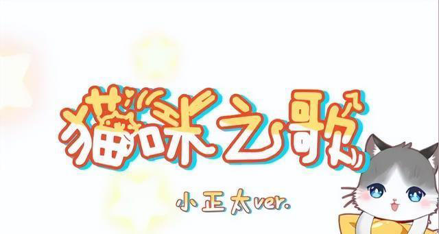关于猫咪的4条冷知识，养猫多年的你，未必全知道