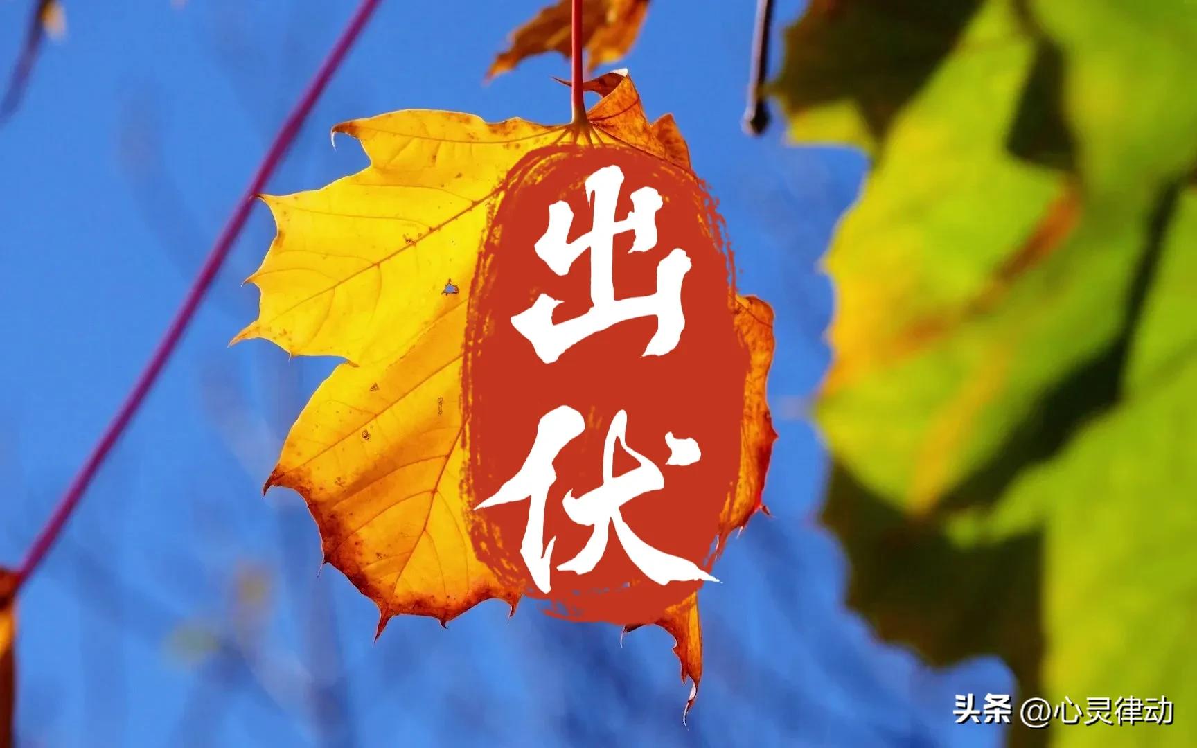 “不怕出伏雨，就怕出伏晴”，今日出伏,晴天有啥预兆?还要热多久