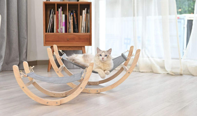 打造宠物美好家园：为爱宠打造舒适生活环境的方法与技巧