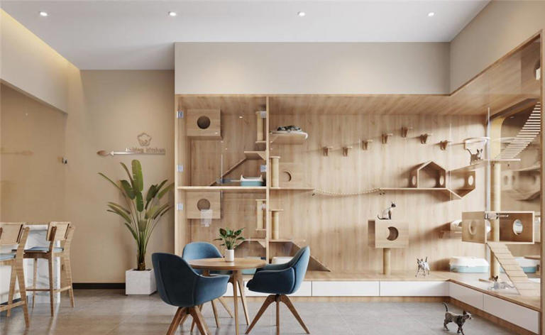 打造宠物美好家园：为爱宠打造舒适生活环境的方法与技巧