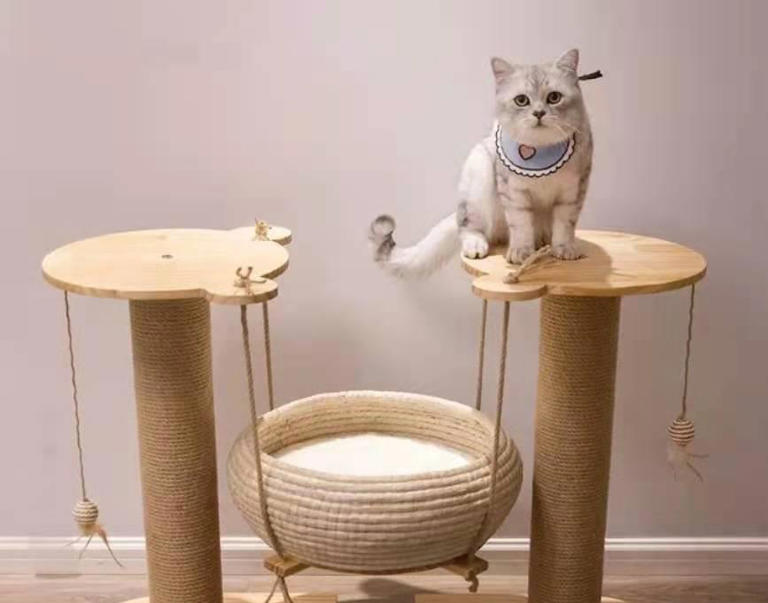 打造宠物美好家园：为爱宠打造舒适生活环境的方法与技巧