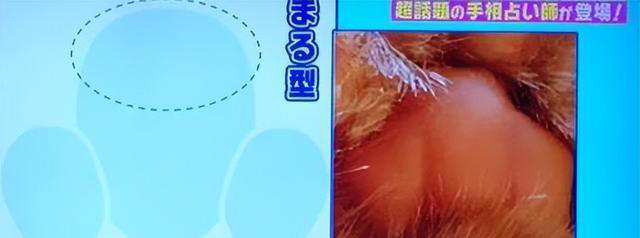 猫咪爪子可以看出性格？你知道吗？