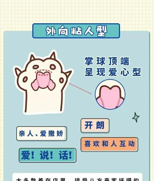 猫咪爪子可以看出性格？你知道吗？