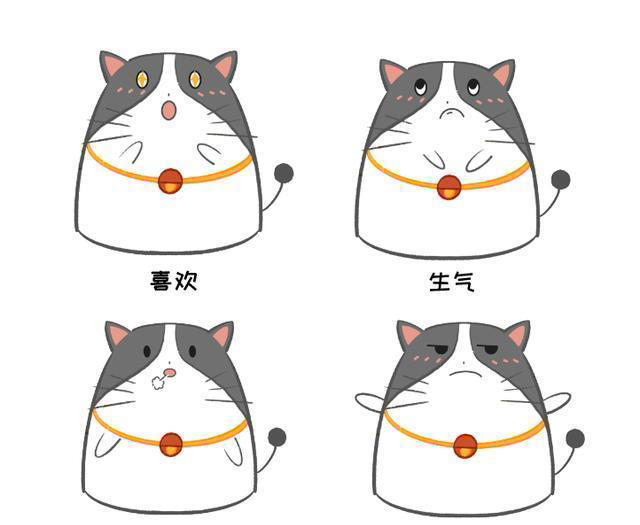 猫咪心情不好的4种表现，不想遭受魔爪的铲屎官快进来
