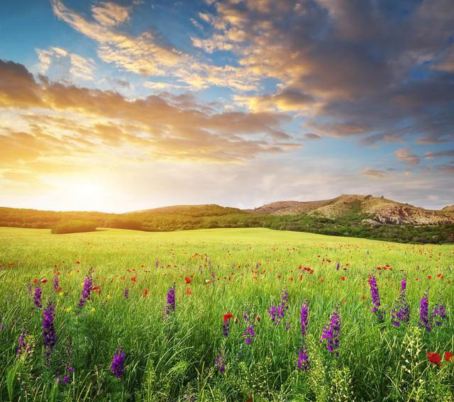 真正的好女人，都有哪些迷人特质